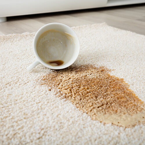 Coffee spill on rug cleaning | Fairmont Flooring