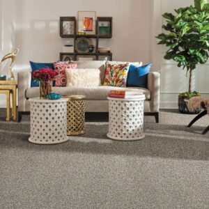 carpet in living room | Fairmont Flooring