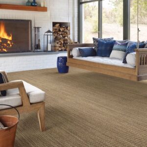Carpet in living room | Fairmont Flooring